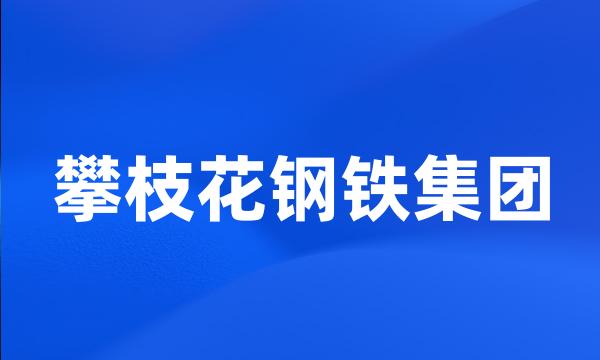 攀枝花钢铁集团