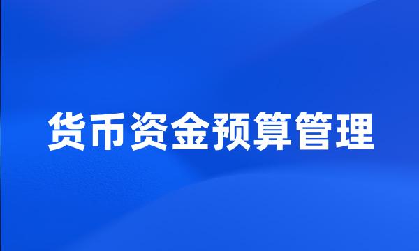 货币资金预算管理
