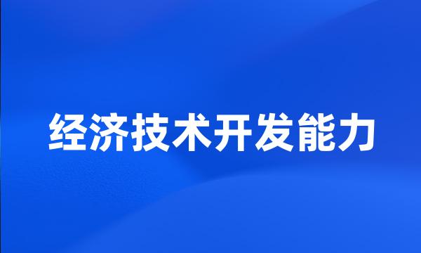 经济技术开发能力