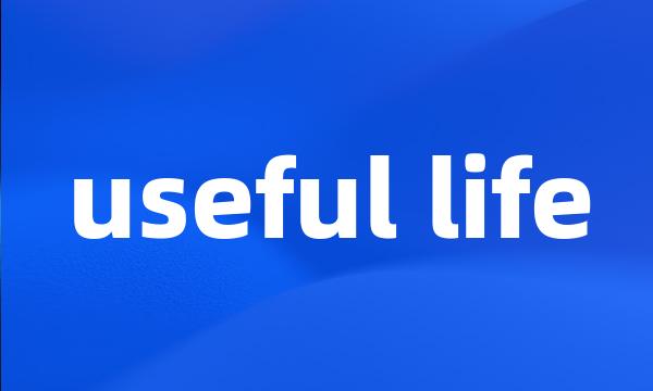 useful life