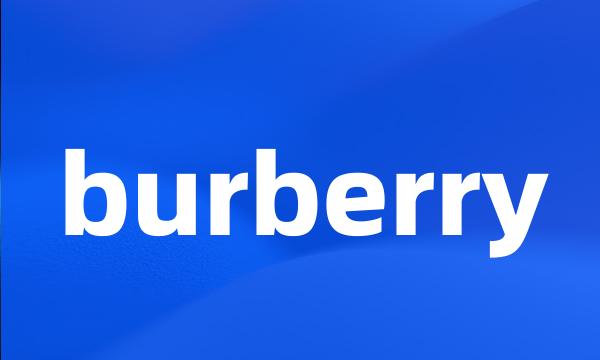 burberry