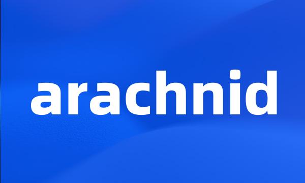 arachnid