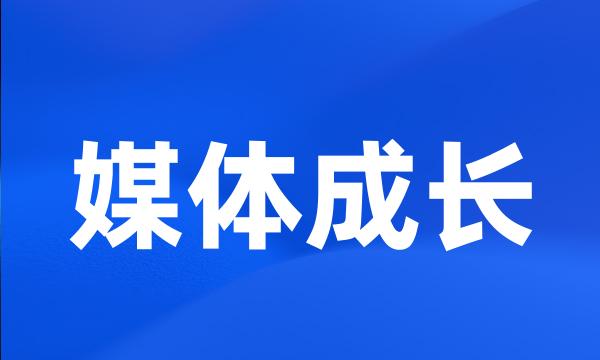 媒体成长