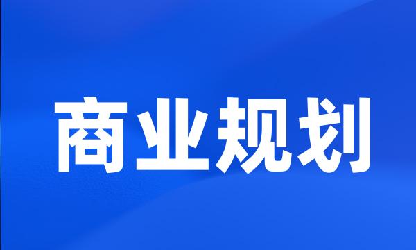 商业规划