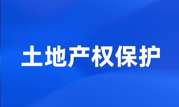 土地产权保护