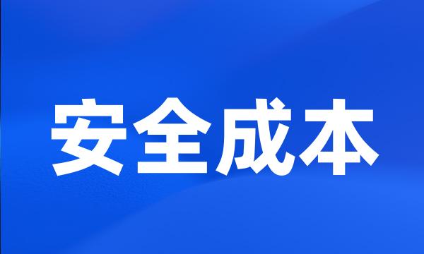 安全成本