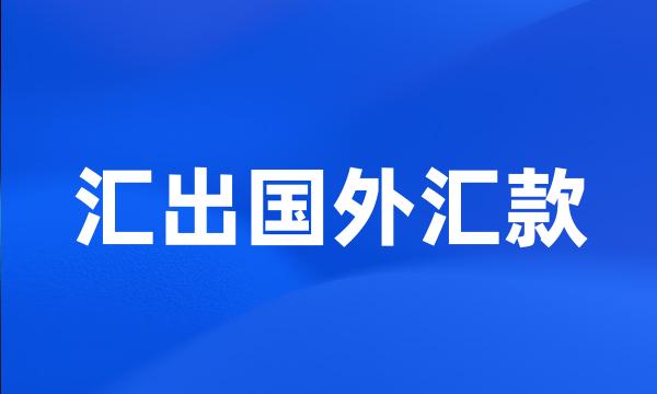 汇出国外汇款