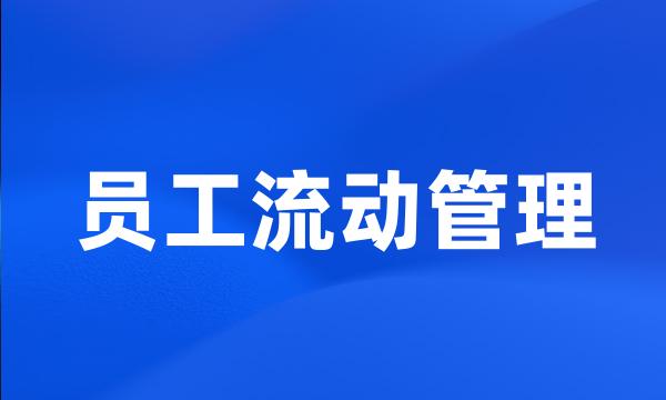 员工流动管理