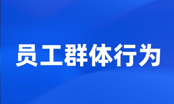 员工群体行为