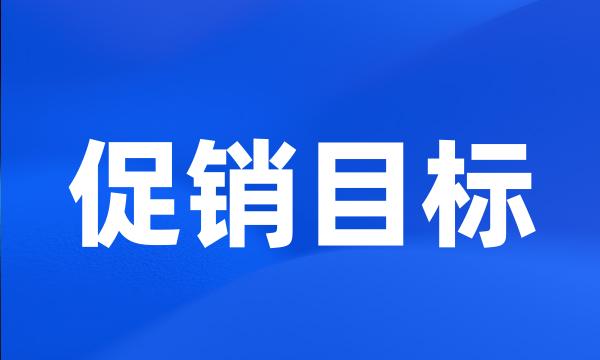 促销目标
