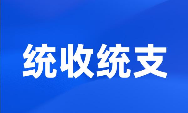 统收统支