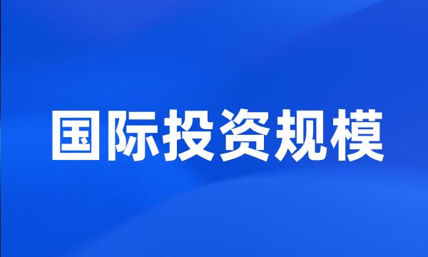 国际投资规模