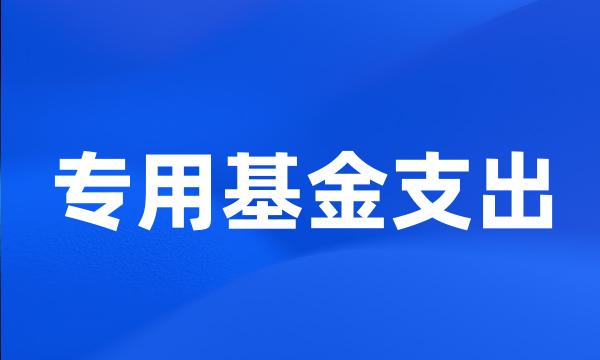专用基金支出