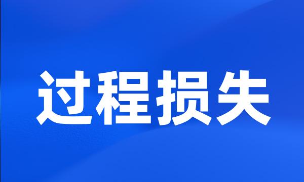 过程损失