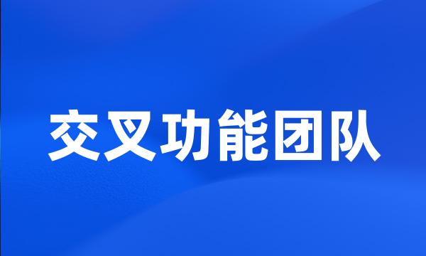 交叉功能团队