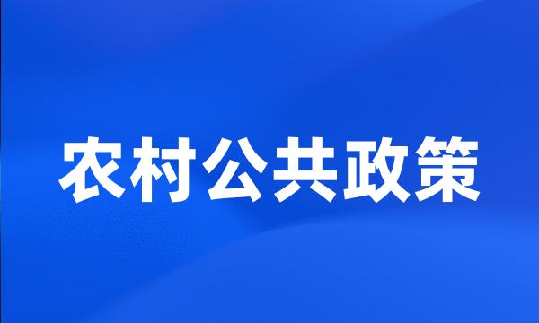农村公共政策