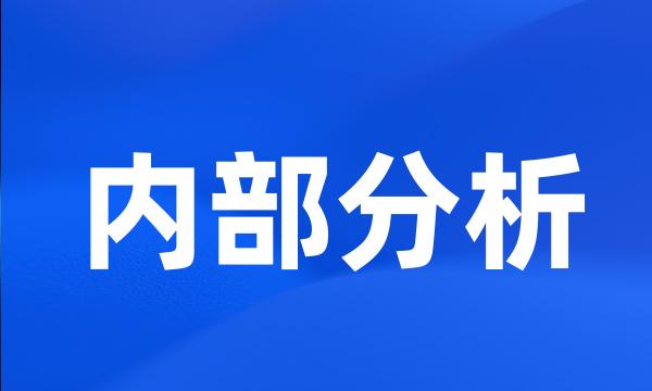 内部分析