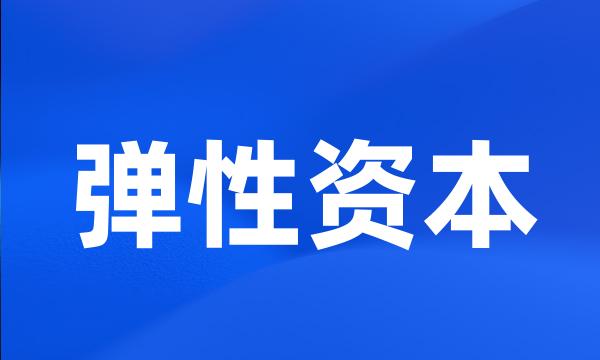 弹性资本