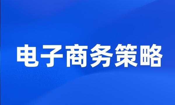 电子商务策略