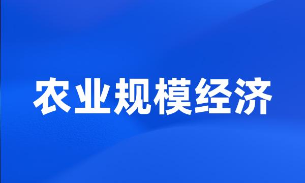 农业规模经济