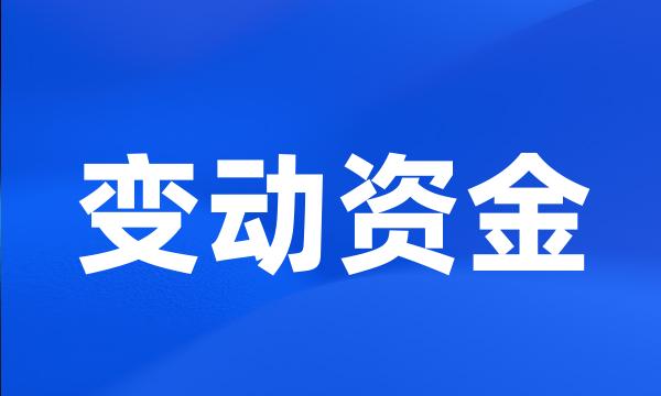 变动资金