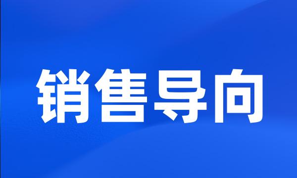 销售导向