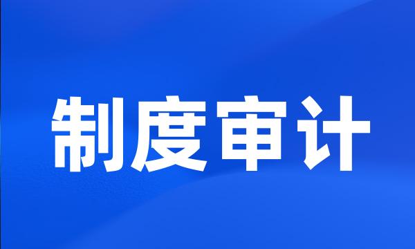 制度审计