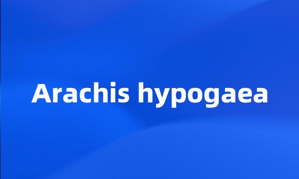 Arachis hypogaea