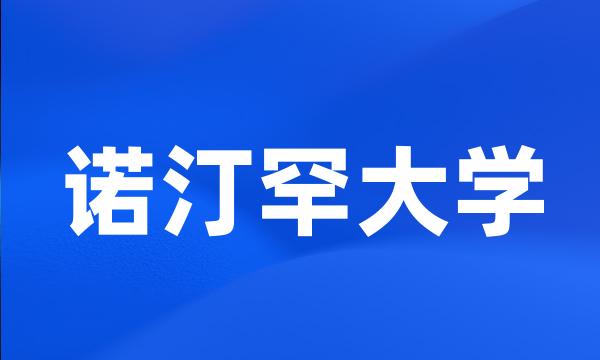 诺汀罕大学