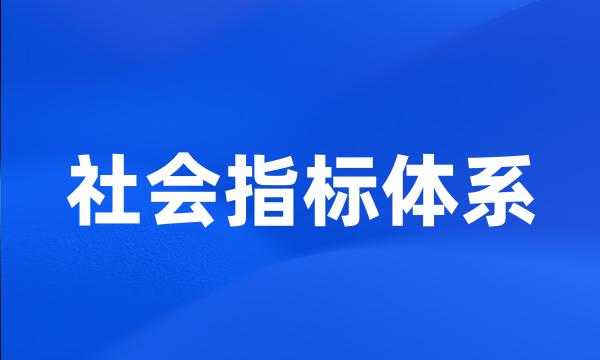 社会指标体系
