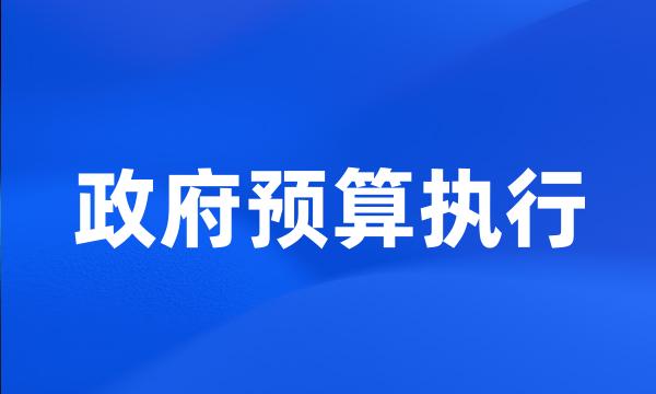 政府预算执行