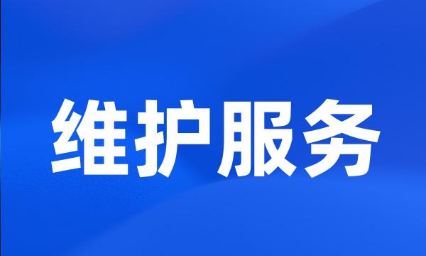 维护服务