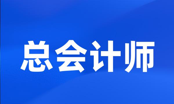 总会计师