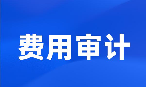费用审计