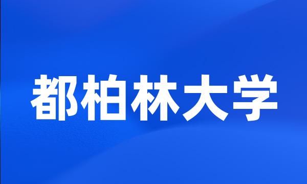 都柏林大学