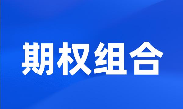 期权组合