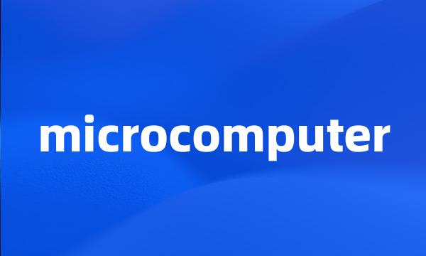 microcomputer