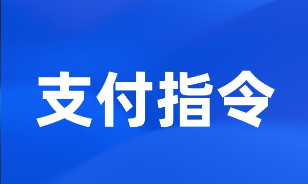支付指令