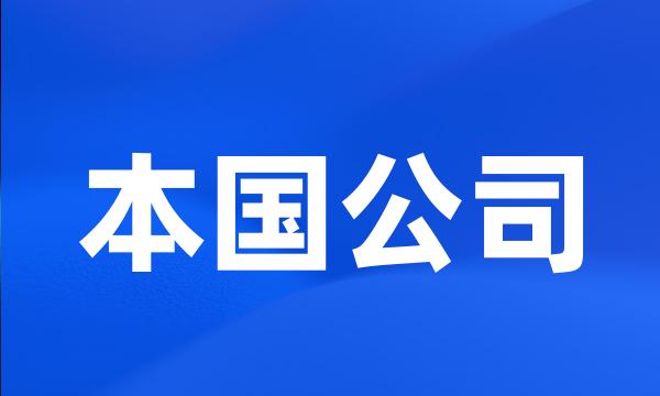本国公司