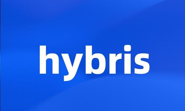 hybris
