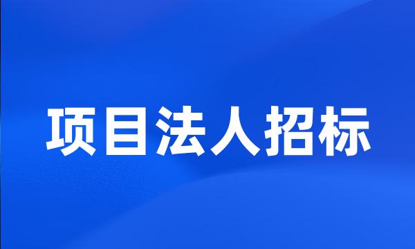 项目法人招标