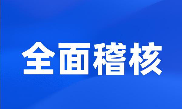 全面稽核