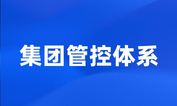 集团管控体系