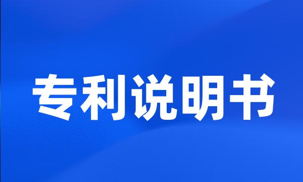 专利说明书