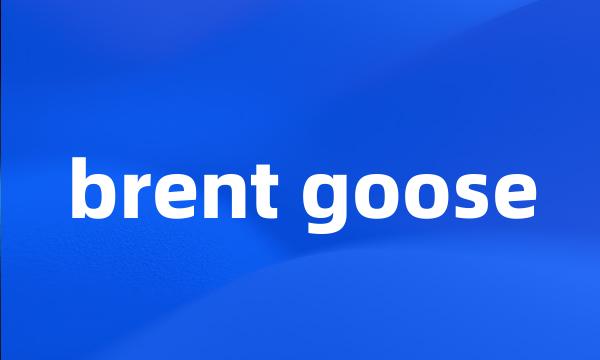 brent goose