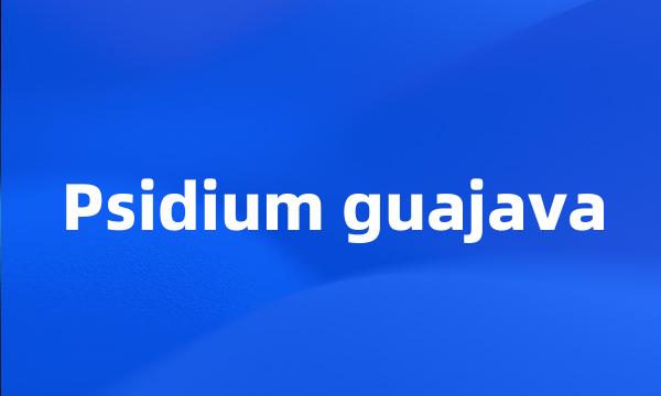 Psidium guajava