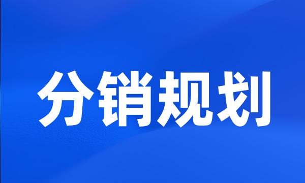 分销规划