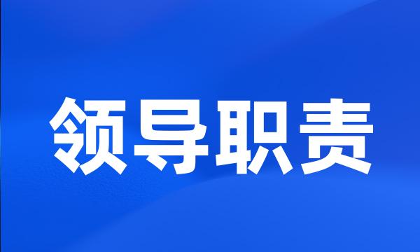 领导职责