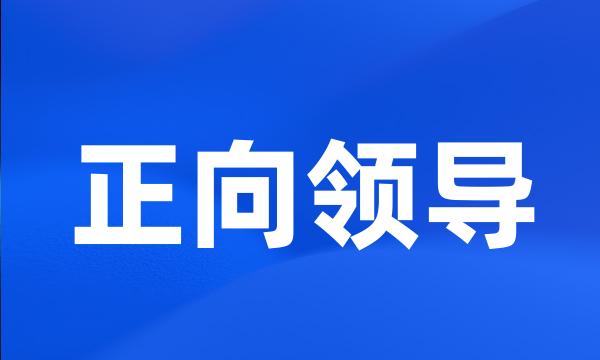 正向领导