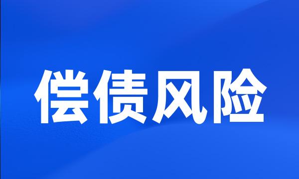 偿债风险